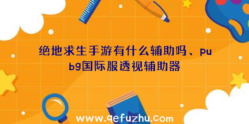 绝地求生手游有什么辅助吗、pubg国际服透视辅助器