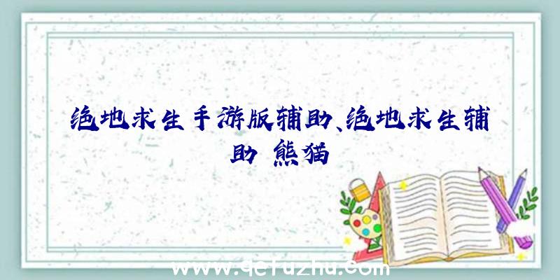 绝地求生手游版辅助、绝地求生辅助