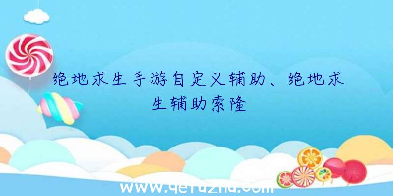 绝地求生手游自定义辅助、绝地求生辅助索隆