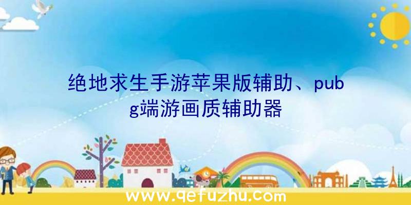 绝地求生手游苹果版辅助、pubg端游画质辅助器