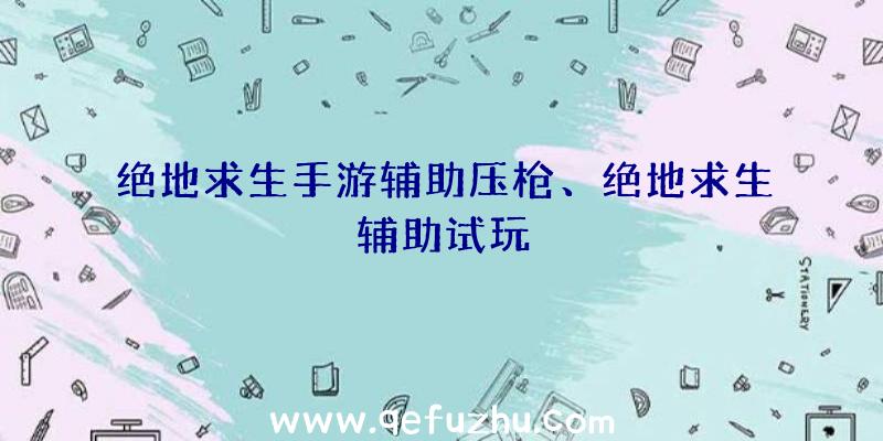 绝地求生手游辅助压枪、绝地求生辅助试玩