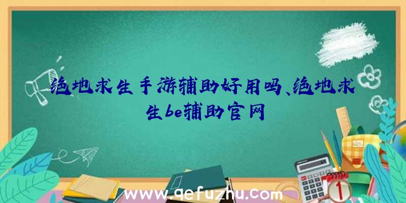 绝地求生手游辅助好用吗、绝地求生be辅助官网