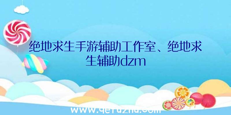 绝地求生手游辅助工作室、绝地求生辅助dzm