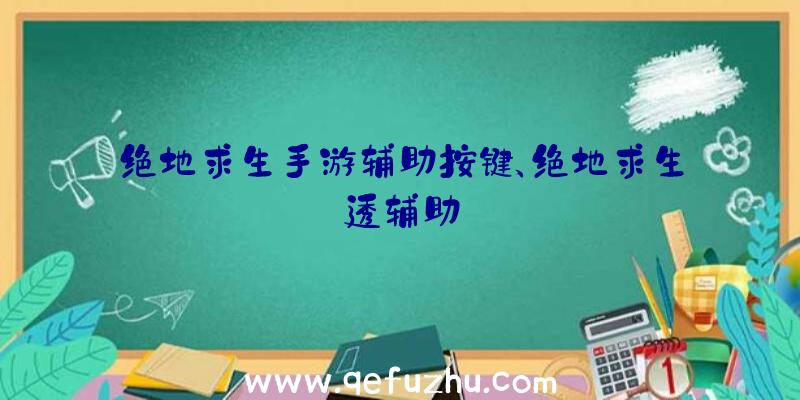 绝地求生手游辅助按键、绝地求生透辅助