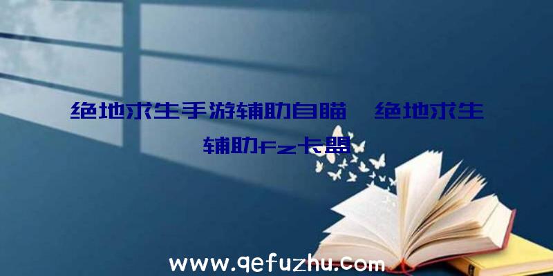 绝地求生手游辅助自瞄、绝地求生辅助fz卡盟