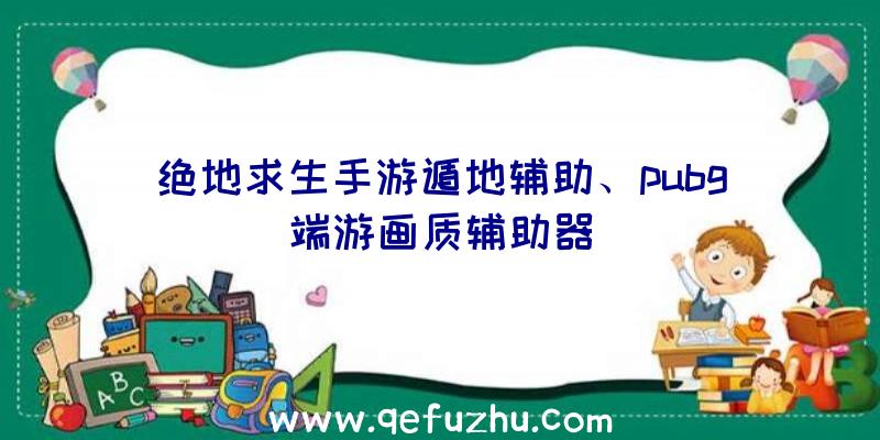 绝地求生手游遁地辅助、pubg端游画质辅助器