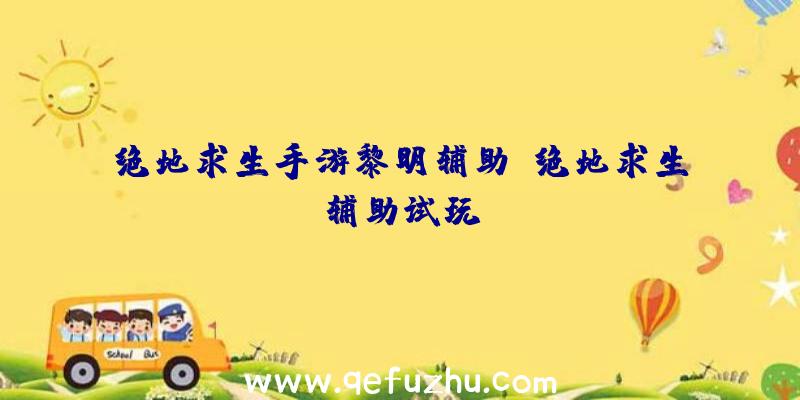 绝地求生手游黎明辅助、绝地求生辅助试玩