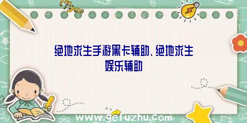 绝地求生手游黑卡辅助、绝地求生娱乐辅助