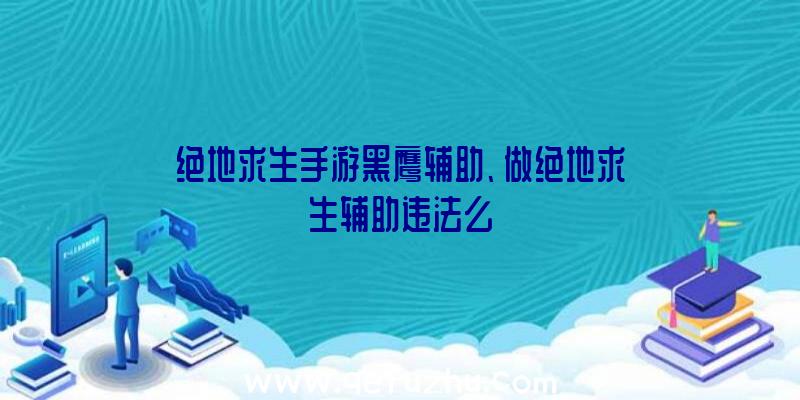 绝地求生手游黑鹰辅助、做绝地求生辅助违法么