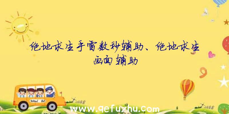 绝地求生手雷数秒辅助、绝地求生画面辅助