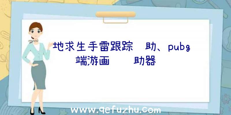 绝地求生手雷跟踪辅助、pubg端游画质辅助器