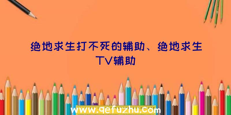 绝地求生打不死的辅助、绝地求生TV辅助