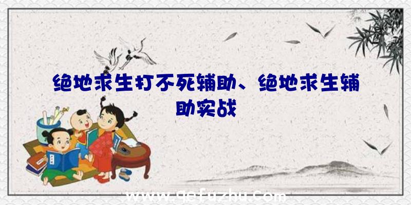 绝地求生打不死辅助、绝地求生辅助实战