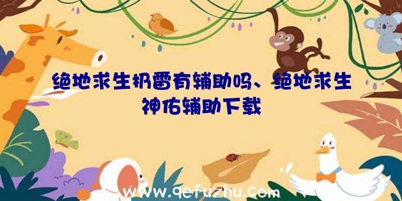 绝地求生扔雷有辅助吗、绝地求生神佑辅助下载