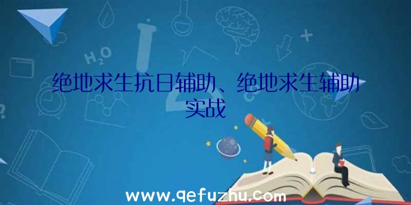 绝地求生抗日辅助、绝地求生辅助实战