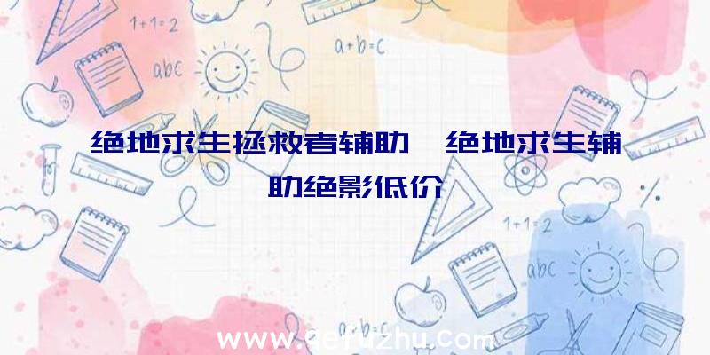 绝地求生拯救者辅助、绝地求生辅助绝影低价