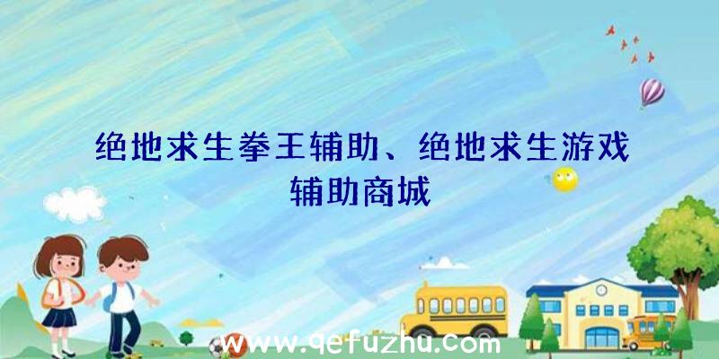 绝地求生拳王辅助、绝地求生游戏辅助商城