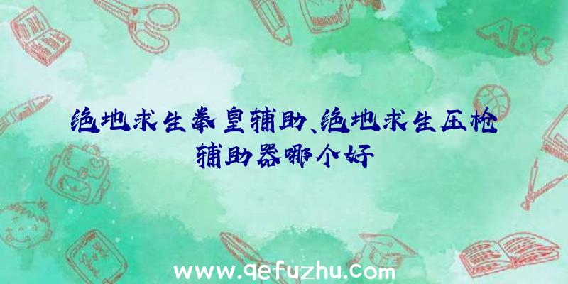 绝地求生拳皇辅助、绝地求生压枪辅助器哪个好