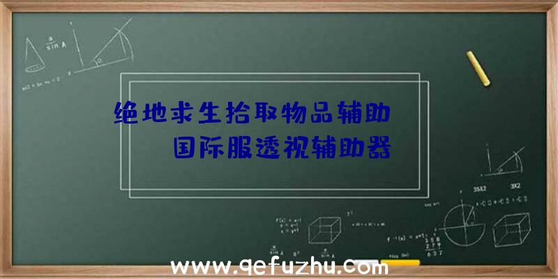 绝地求生拾取物品辅助、pubg国际服透视辅助器