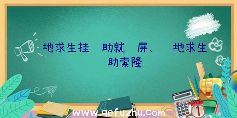 绝地求生挂辅助就蓝屏、绝地求生辅助索隆