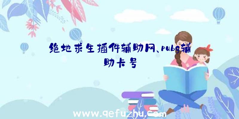 绝地求生插件辅助网、pubg辅助卡号