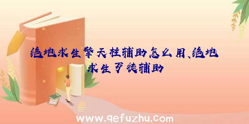 绝地求生擎天柱辅助怎么用、绝地求生歹徒辅助