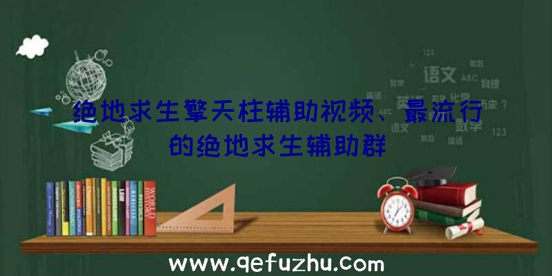 绝地求生擎天柱辅助视频、最流行的绝地求生辅助群