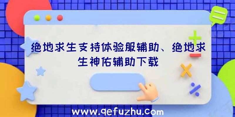 绝地求生支持体验服辅助、绝地求生神佑辅助下载