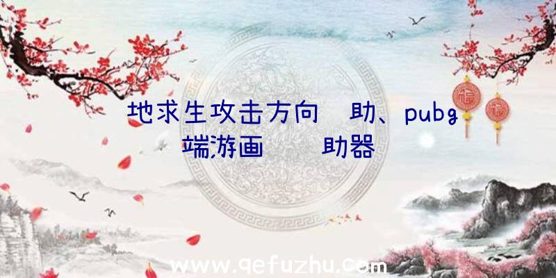 绝地求生攻击方向辅助、pubg端游画质辅助器