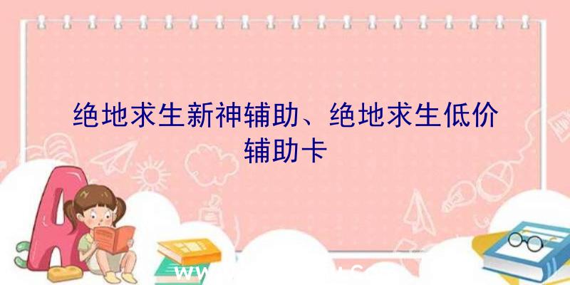 绝地求生新神辅助、绝地求生低价辅助卡