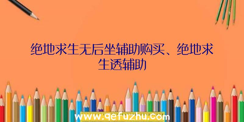 绝地求生无后坐辅助购买、绝地求生透辅助