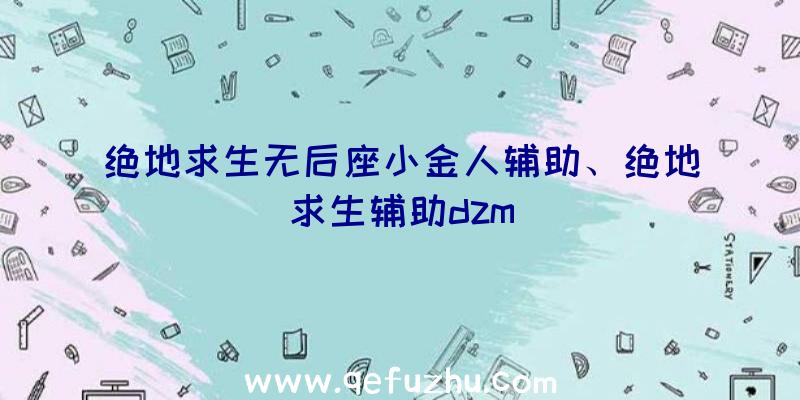 绝地求生无后座小金人辅助、绝地求生辅助dzm