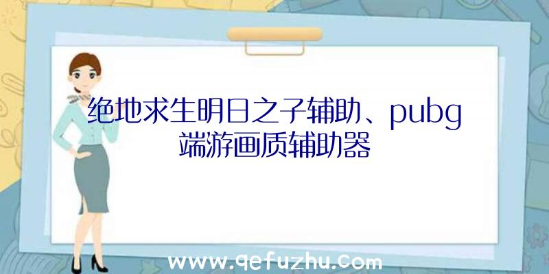 绝地求生明日之子辅助、pubg端游画质辅助器