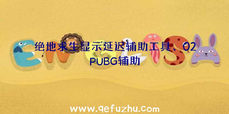 绝地求生显示延迟辅助工具、02PUBG辅助