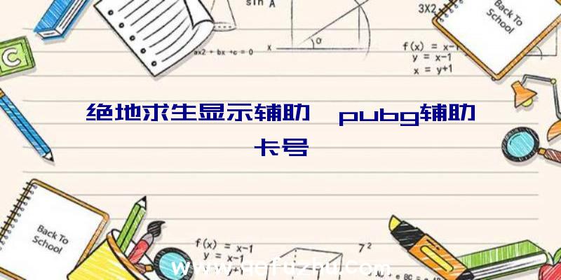 绝地求生显示辅助、pubg辅助卡号