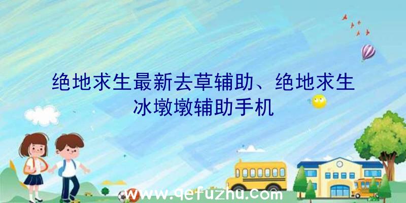 绝地求生最新去草辅助、绝地求生冰墩墩辅助手机