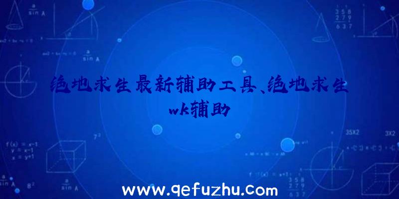 绝地求生最新辅助工具、绝地求生wk辅助