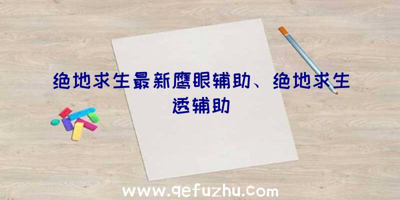 绝地求生最新鹰眼辅助、绝地求生透辅助