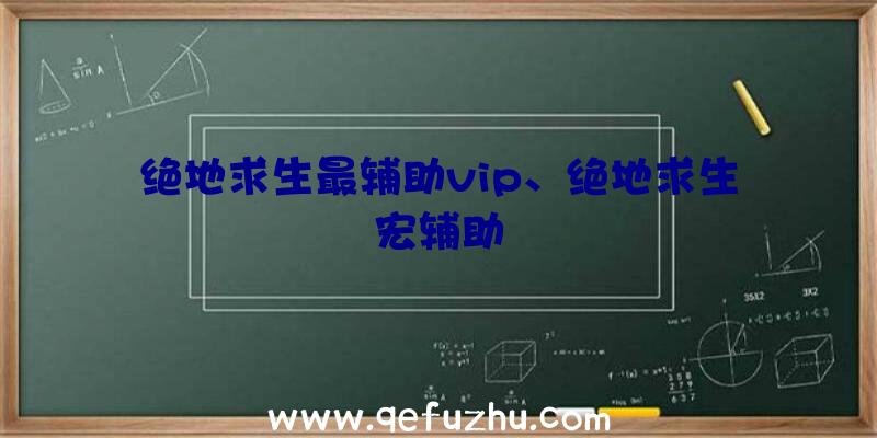 绝地求生最辅助vip、绝地求生宏辅助