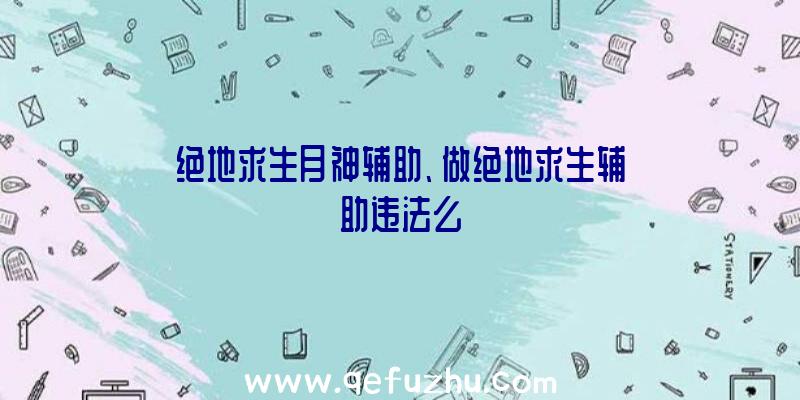 绝地求生月神辅助、做绝地求生辅助违法么