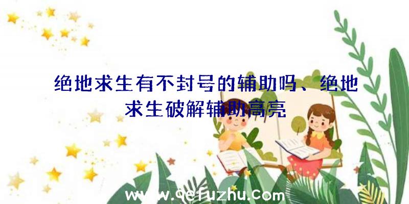 绝地求生有不封号的辅助吗、绝地求生破解辅助高亮