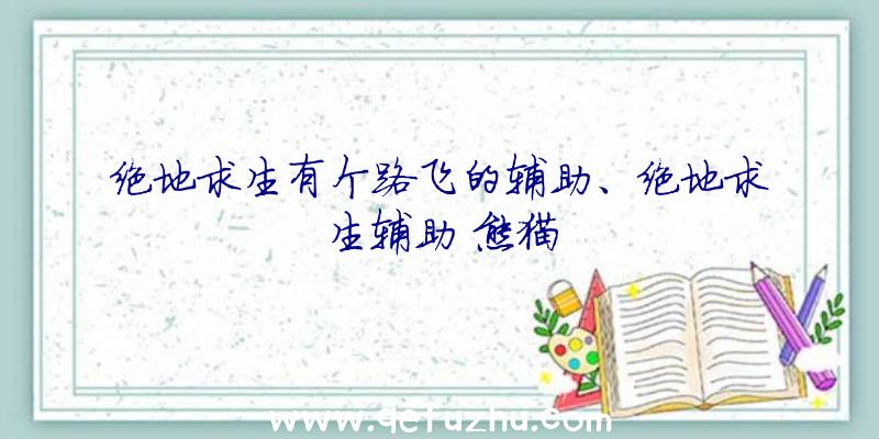 绝地求生有个路飞的辅助、绝地求生辅助