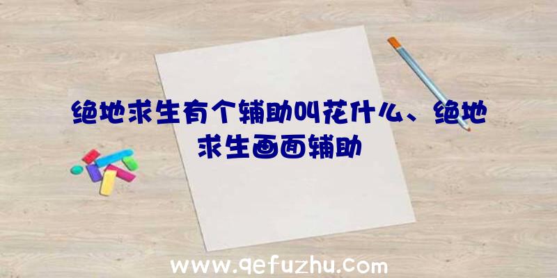 绝地求生有个辅助叫花什么、绝地求生画面辅助