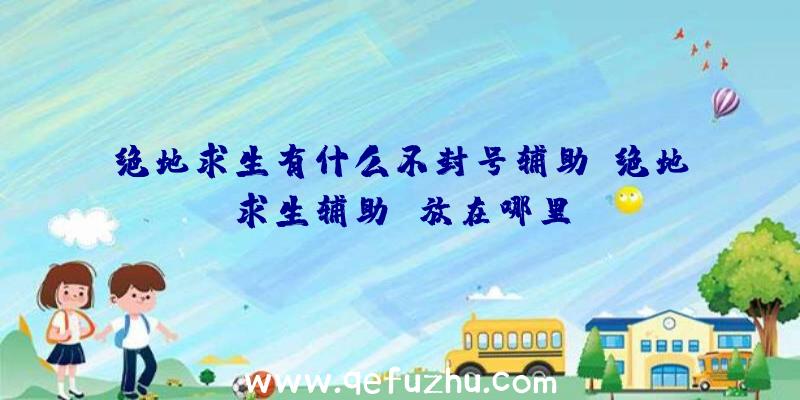 绝地求生有什么不封号辅助、绝地求生辅助