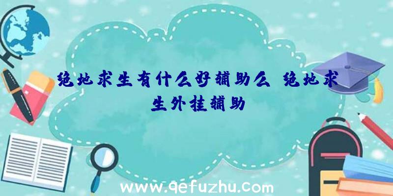 绝地求生有什么好辅助么、绝地求生外挂辅助