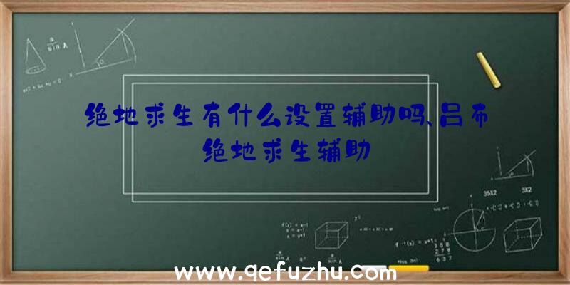 绝地求生有什么设置辅助吗、吕布绝地求生辅助