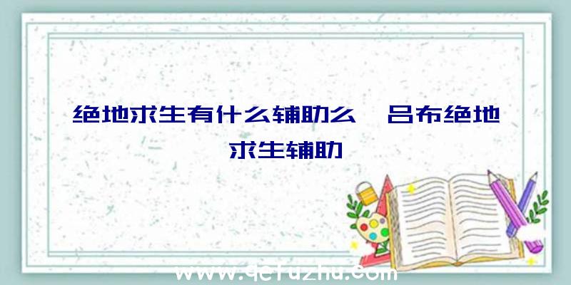 绝地求生有什么辅助么、吕布绝地求生辅助