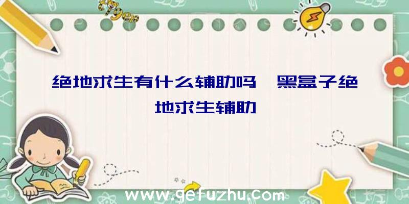 绝地求生有什么辅助吗、黑盒子绝地求生辅助