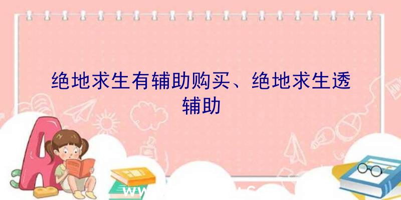 绝地求生有辅助购买、绝地求生透辅助