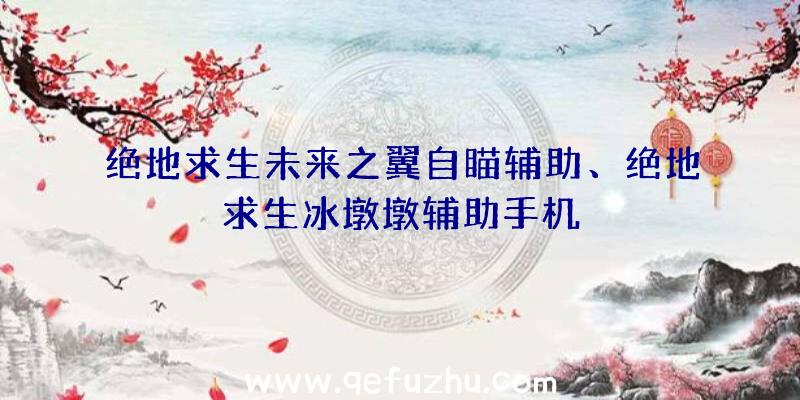 绝地求生未来之翼自瞄辅助、绝地求生冰墩墩辅助手机